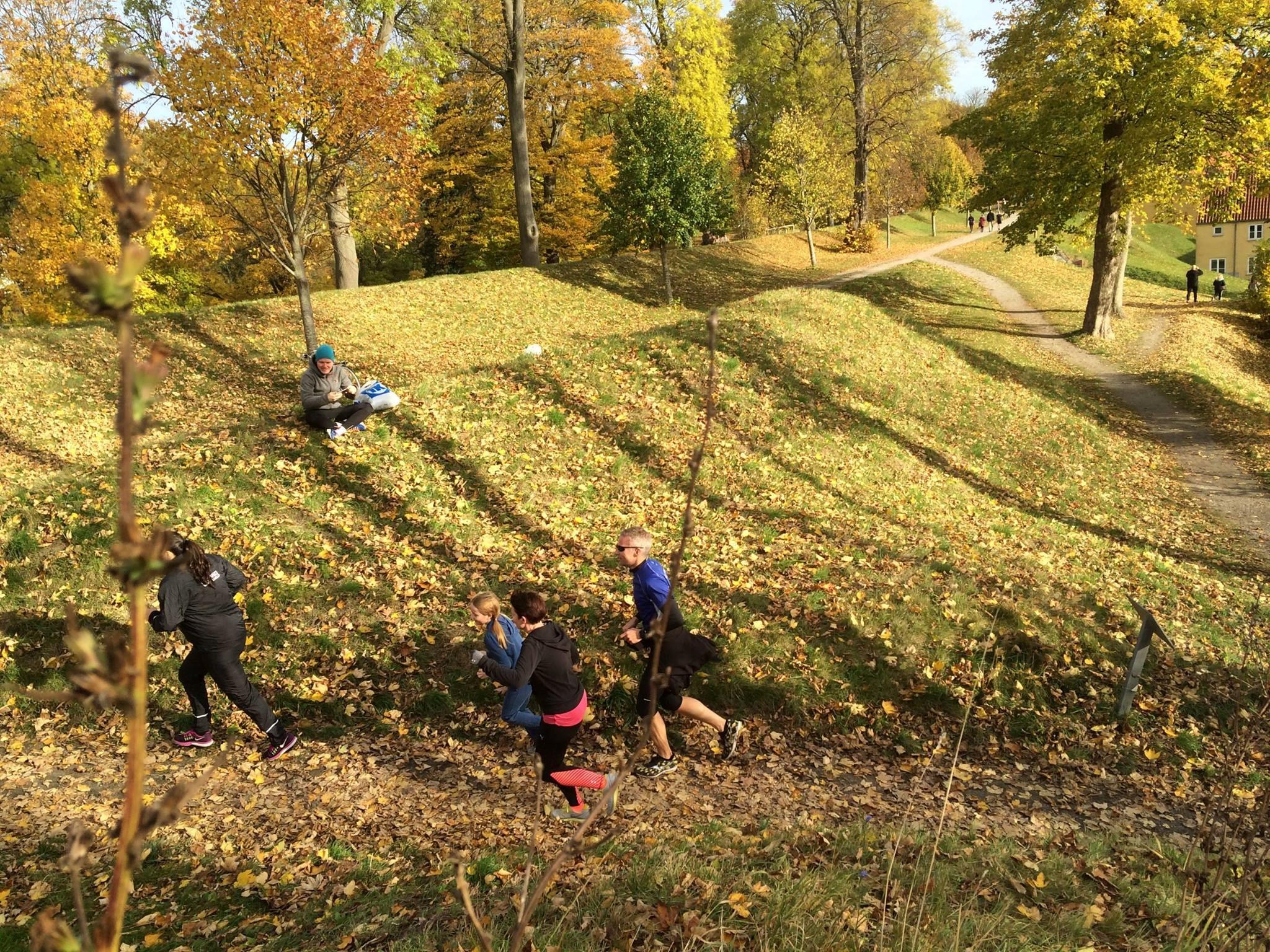 Crossløb nyborg 2.jpg